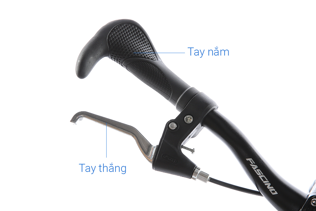 Xe Đạp Trẻ Em Fascino FS-04 20 inch Màu Xanh Dương