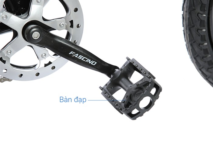 Xe Đạp Trẻ Em Fascino FS-04 20 inch Màu Xanh lá