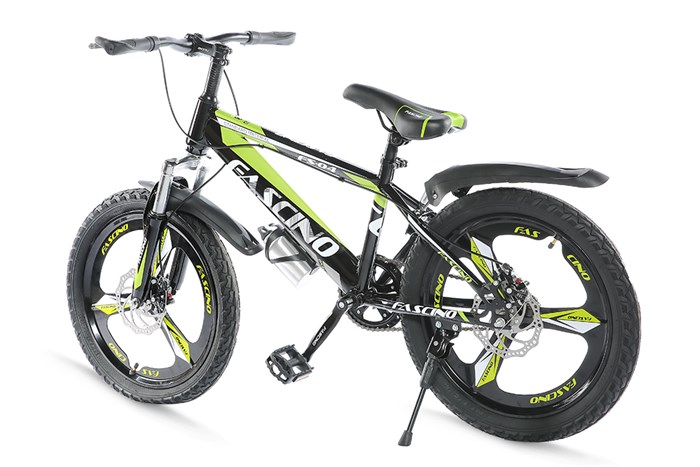 Xe Đạp Trẻ Em Fascino FS-04 20 inch Màu Xanh lá