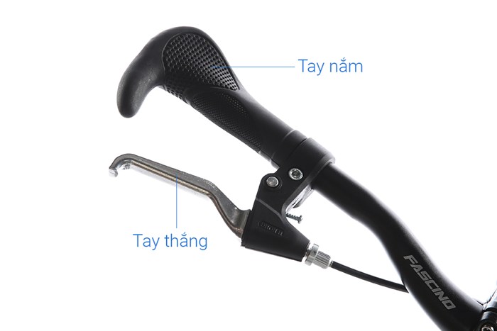 Xe Đạp Trẻ Em Fascino FS-04 20 inch Màu Xanh lá