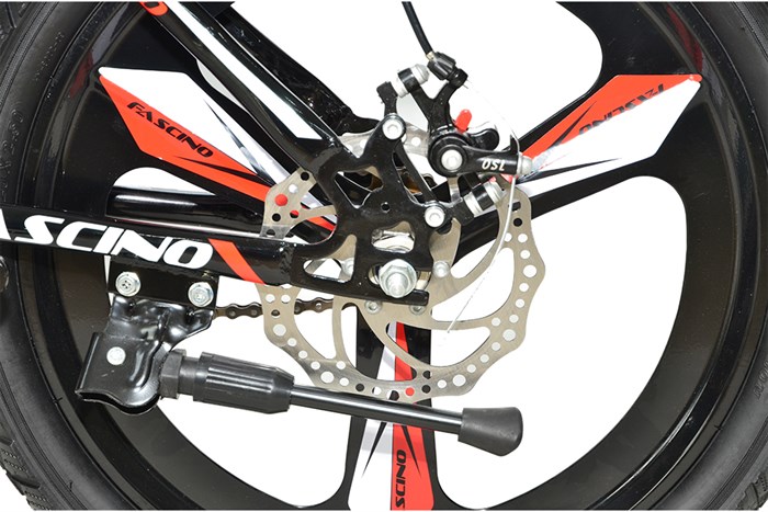 Xe Đạp Trẻ Em Fascino FS-04 20 inch Màu Đỏ