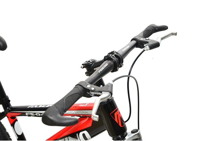 Xe Đạp Trẻ Em Fascino FS-04 20 inch Màu Đỏ