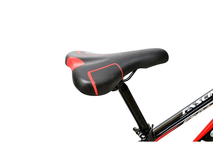 Xe Đạp Trẻ Em Fascino FS-04 20 inch Màu Đỏ