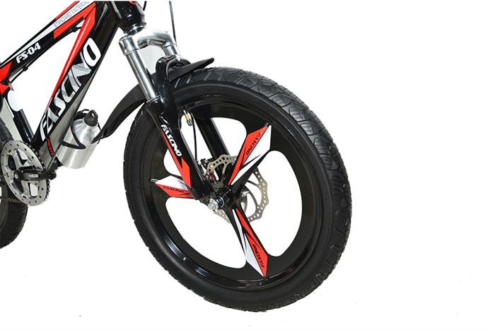 Xe Đạp Trẻ Em Fascino FS-04 20 inch Màu Đỏ