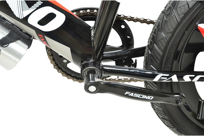 Xe Đạp Trẻ Em Fascino FS-04 20 inch Màu Đỏ