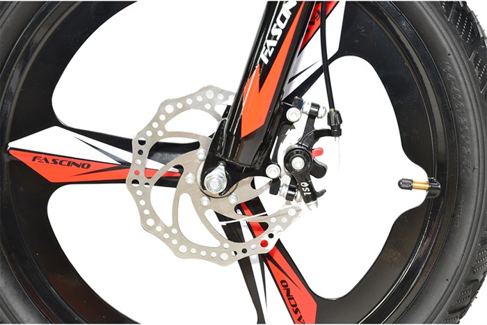 Xe Đạp Trẻ Em Fascino FS-04 20 inch Màu Đỏ