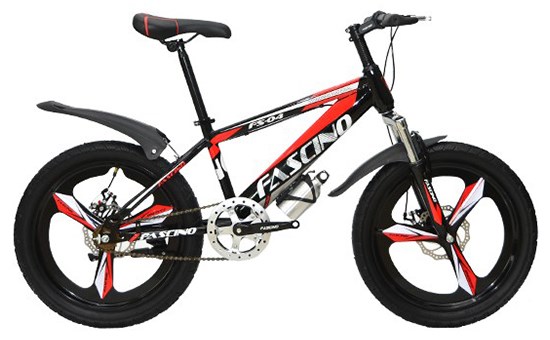 Xe Đạp Trẻ Em Fascino FS-04 20 inch