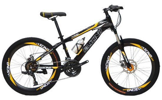 Xe đạp địa hình MTB Fascino W400X 24 inch