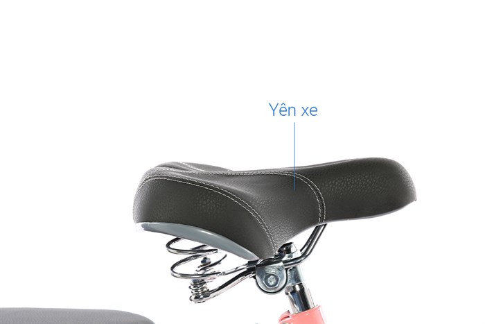 Xe Đạp Trẻ Em City Fascino FM20 20 inch Màu Hồng phấn