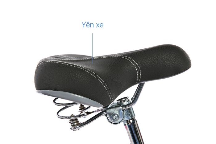 Xe Đạp Trẻ Em City Fascino FM20 20 inch Màu Hồng