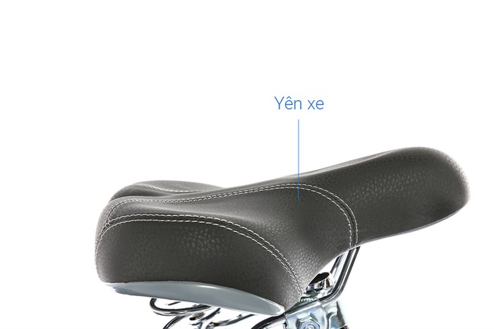 Xe Đạp Trẻ Em City Fascino FM20 20 inch Màu Xanh Dương