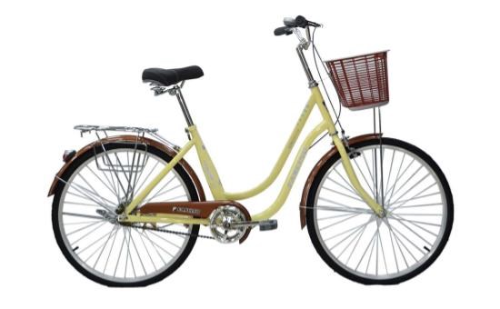 Xe Đạp Đường Phố City Fascino FM24 24 inch