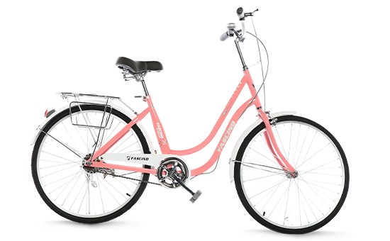 Xe đạp đường phố City Fascino FM24 24 inch - Xe đạp