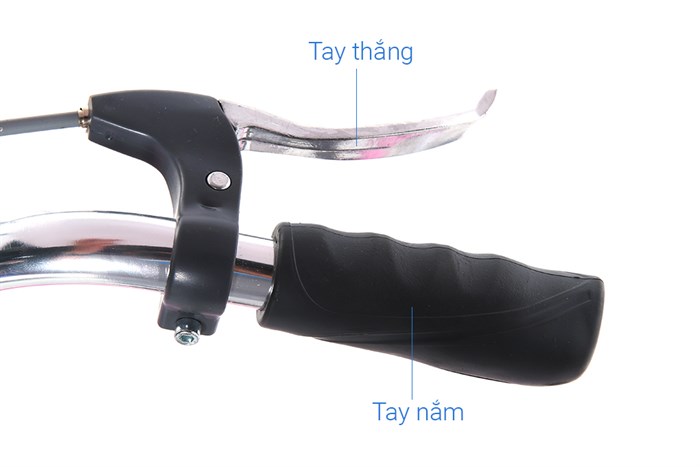 Xe Đạp Đường Phố City Fascino FM24 24 inch Màu Hồng phấn