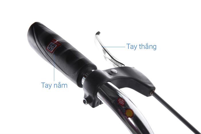 Xe Đạp Đường Phố City Fascino FM26 26 inch Màu Xanh Dương