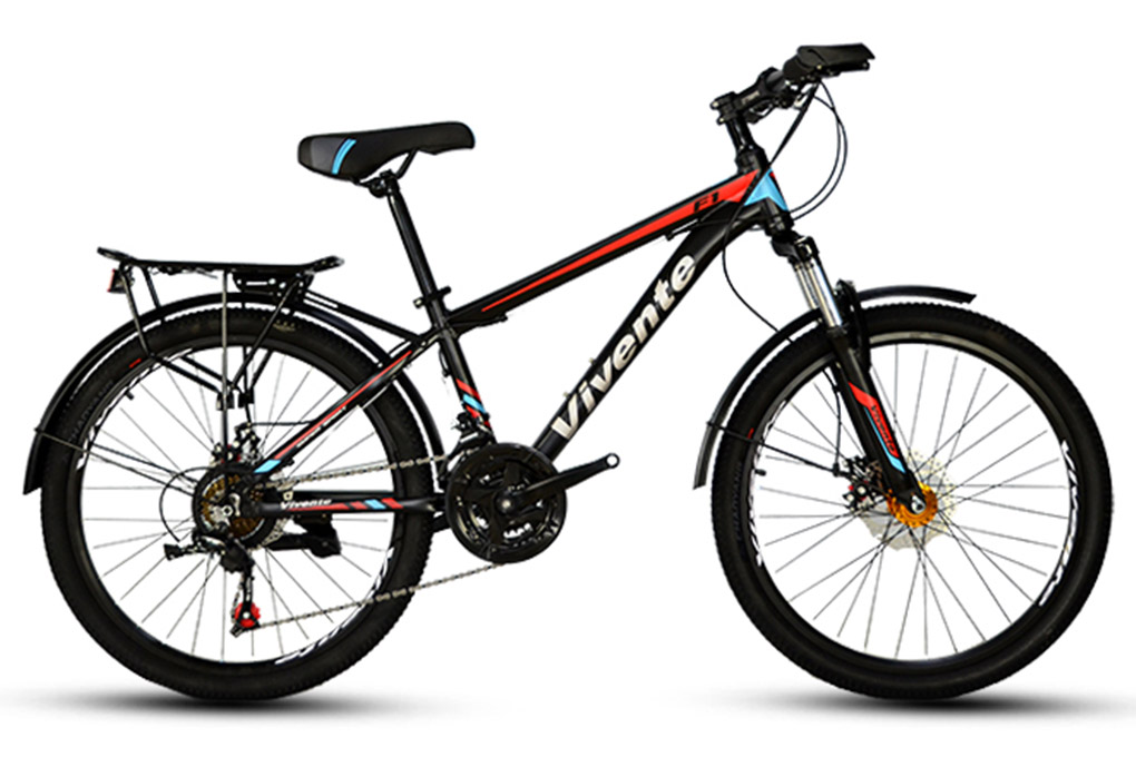 Xe Đạp Địa Hình MTB Vivente 24F1 24 inch