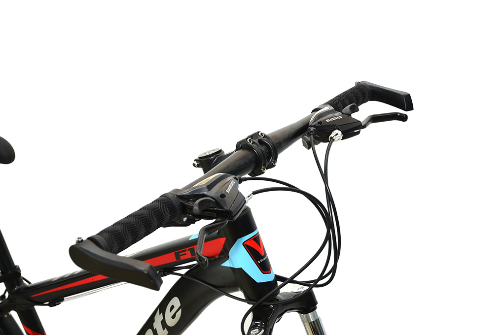 Xe Đạp Địa Hình MTB Vivente 24F1 24 inch