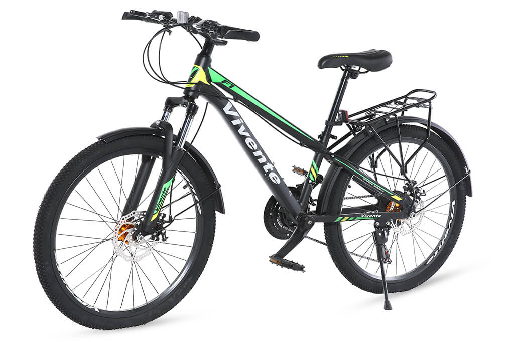 Xe Đạp Địa Hình MTB Vivente 24F1 24 inch