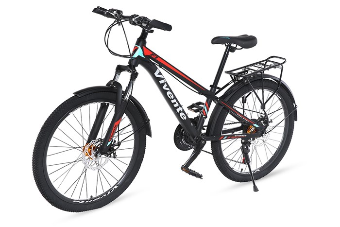 Xe Đạp Địa Hình MTB Vivente 24F1 24 inch