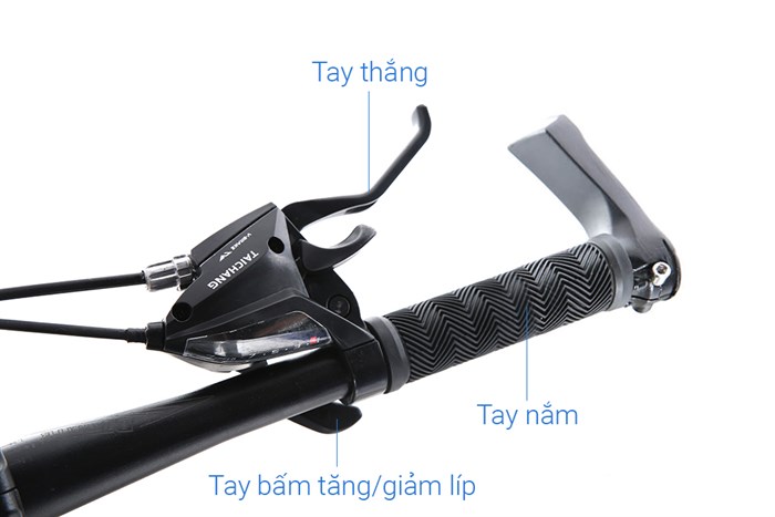 Xe Đạp Địa Hình MTB Vivente 24F1 24 inch