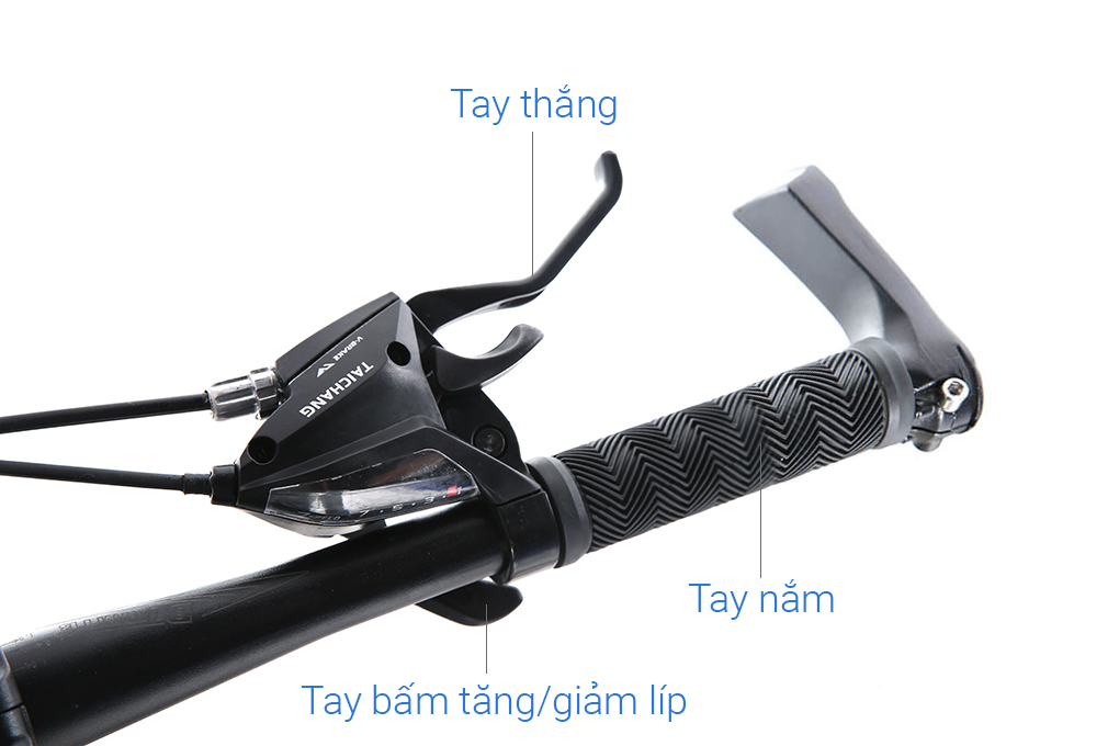 Xe Đạp Địa Hình MTB Vivente 24F1 24 inch
