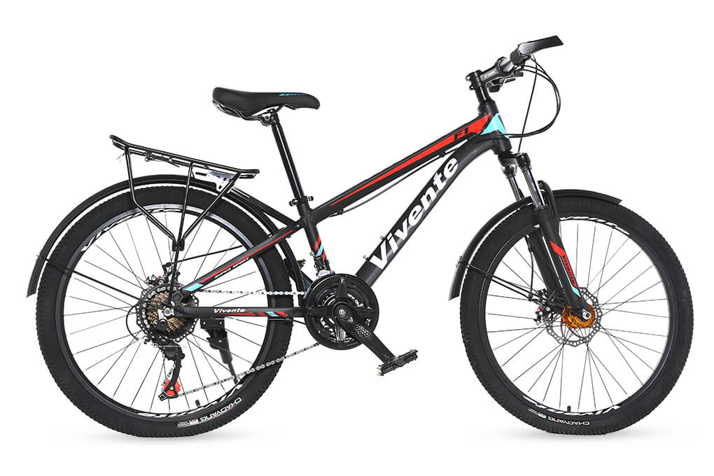 Xe Đạp Địa Hình MTB Vivente 24F1 24 inch