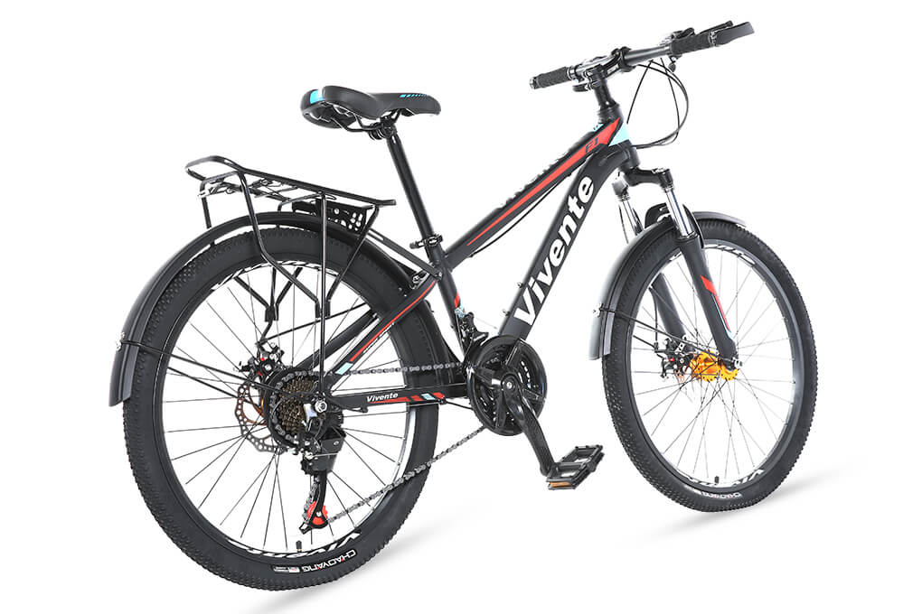 Xe Đạp Địa Hình MTB Vivente 24F1 24 inch