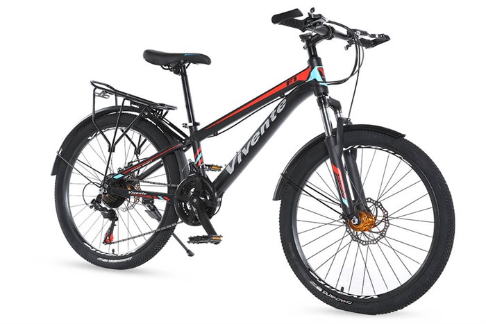Xe Đạp Địa Hình MTB Vivente 24F1 24 inch