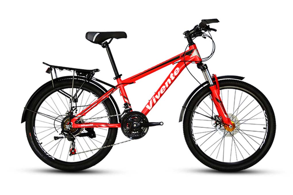 Xe Đạp Địa Hình MTB Vivente 24F1 24 inch