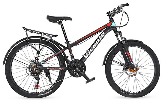 Xe Đạp Địa Hình MTB Vivente 24F1 24 inch