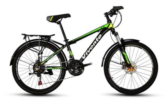 Xe đạp địa hình MTB Vivente 24F1 24 inch - Xe đạp