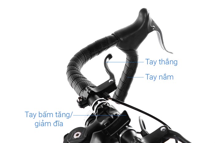 Xe Đạp Thể Thao Road Vivente 700C-Line 27.5 inch