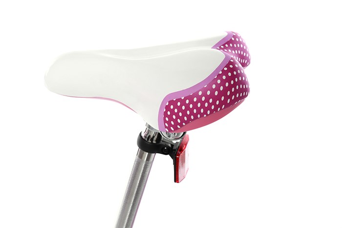 Xe đạp trẻ em RoyalBaby Jenny RB20G-4 20 inch Màu Trắng