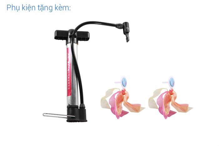 Xe Đạp Trẻ Em Royal Baby Little Swan RB14-1 14 inch Màu Hồng