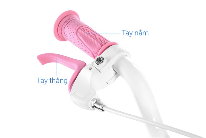 Xe Đạp Trẻ Em Royal Baby Little Swan RB14-1 14 inch Màu Hồng