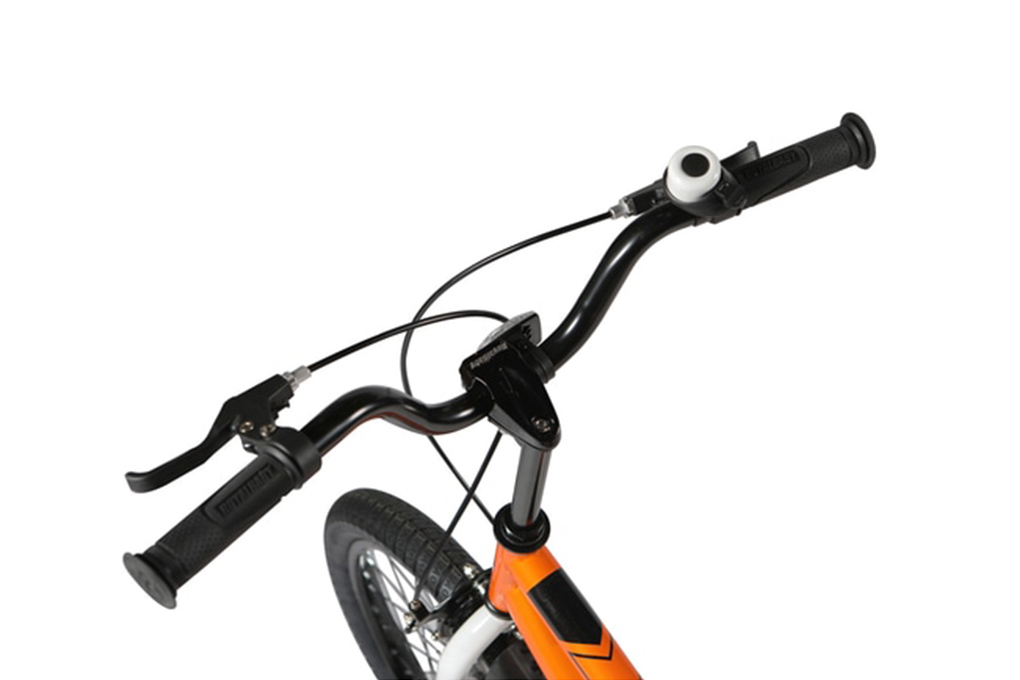 Xe Đạp Trẻ Em Royal Baby Freestyle RB20B-6 20 inch - 4