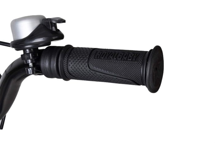 Xe Đạp Trẻ Em Royal Baby Freestyle RB14B-6 14 inch Màu Xanh lá