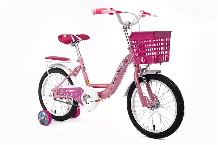 Xe Đạp Trẻ Em Thống Nhất TE 16-03 16 inch Màu Hồng