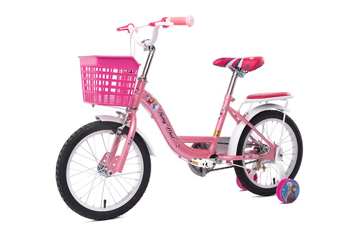 Xe Đạp Trẻ Em Thống Nhất TE 16-03 16 inch Màu Hồng