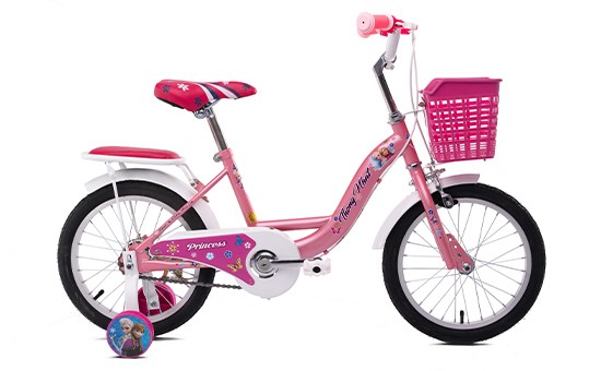 Xe Đạp Trẻ Em Thống Nhất TE 16-03 16 inch