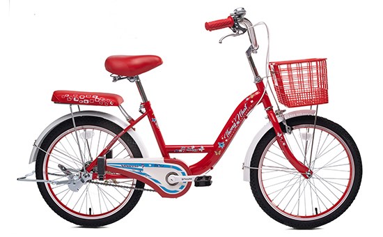 Xe đạp đôi PAX2R dòng xe cho cả gia đình tiện lợi khi rèn luyện sức khỏe