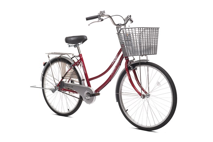 Xe Đạp Đường Phố City Thống Nhất 219-24 24 inch