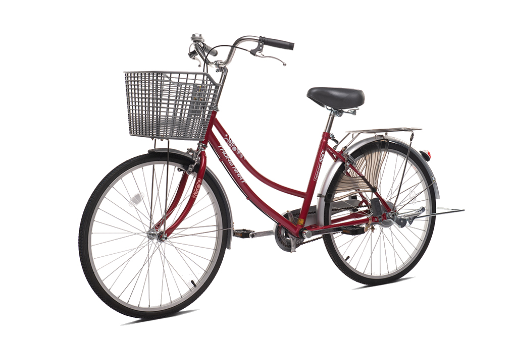 Xe Đạp Đường Phố City Thống Nhất 219-24 24 inch