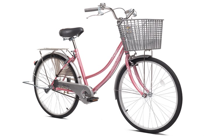Xe Đạp Đường Phố City Thống Nhất 219-24 24 inch