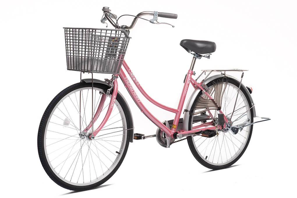 Xe Đạp Đường Phố City Thống Nhất 219-24 24 inch - 2