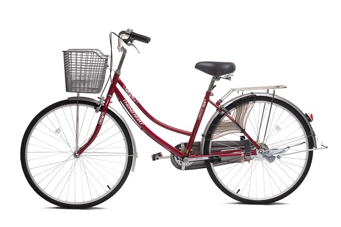Xe Đạp Đường Phố City Thống Nhất 219-24 24 inch