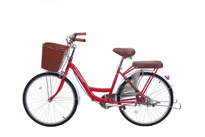 Xe Đạp Đường Phố City Thống Nhất New 24 24 inch Màu Đỏ
