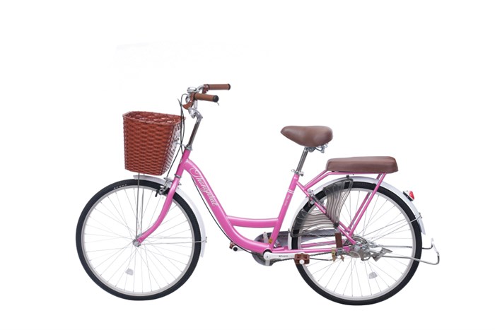 Xe Đạp Đường Phố City Thống Nhất New 24 24 inch Màu Hồng