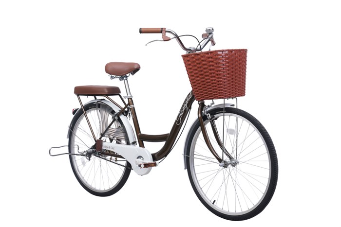 Xe Đạp Đường Phố City Thống Nhất New 24 24 inch Màu Nâu