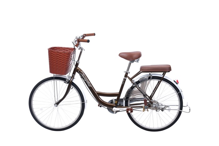 Xe Đạp Đường Phố City Thống Nhất New 24 24 inch Màu Nâu